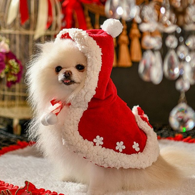 Pet Christmas Cloak