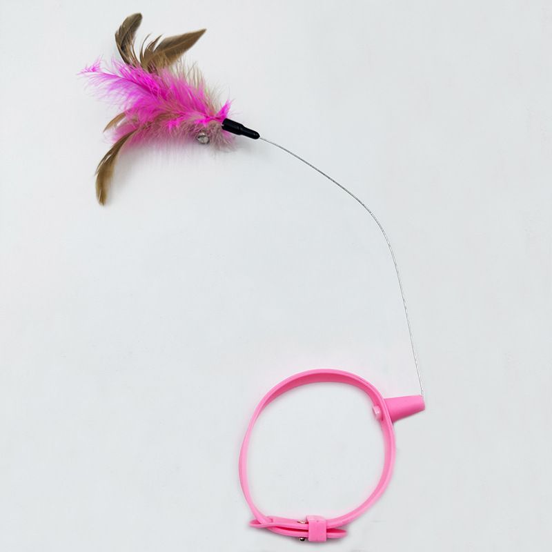 Collar Cat Teaser