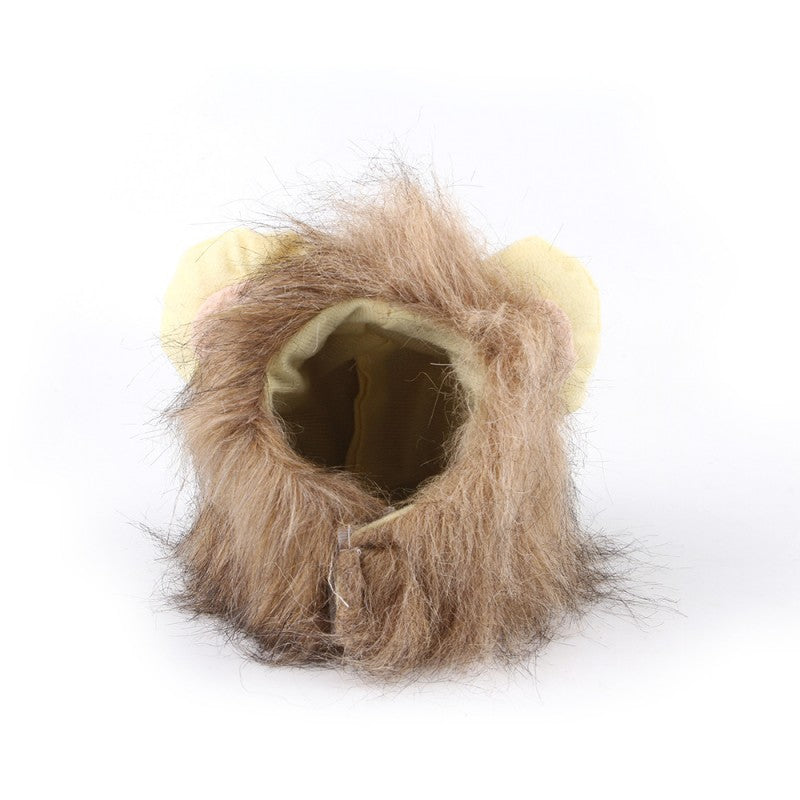Pet Funny Headgear