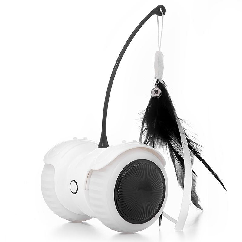 Electric Pet Toy