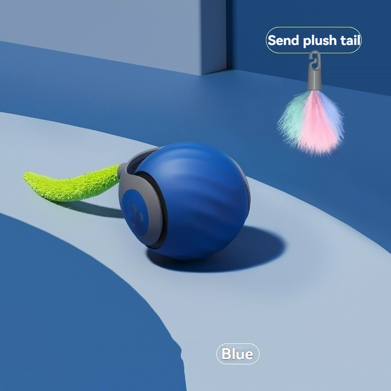Smart Cat Ball