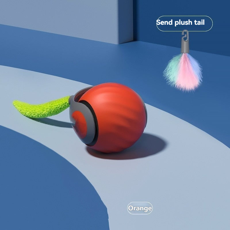 Smart Cat Ball