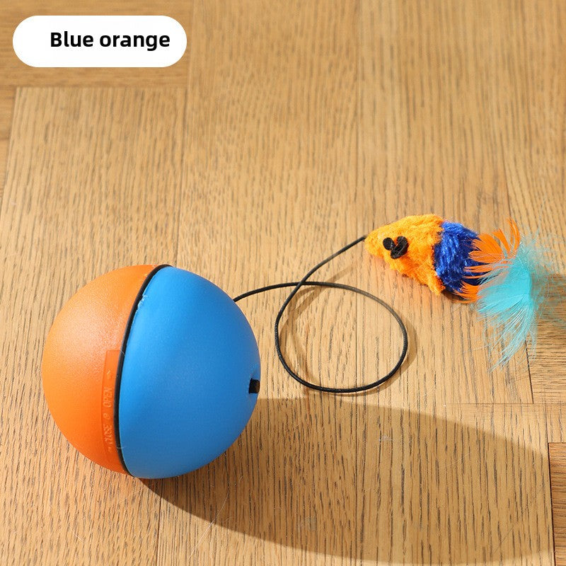 Cat Toy Ball