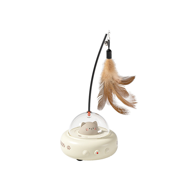 Cat Toy