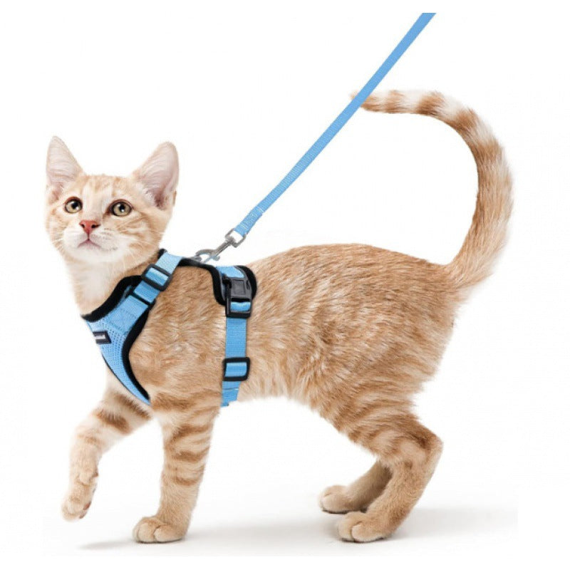 Vest Pet Chest Strap