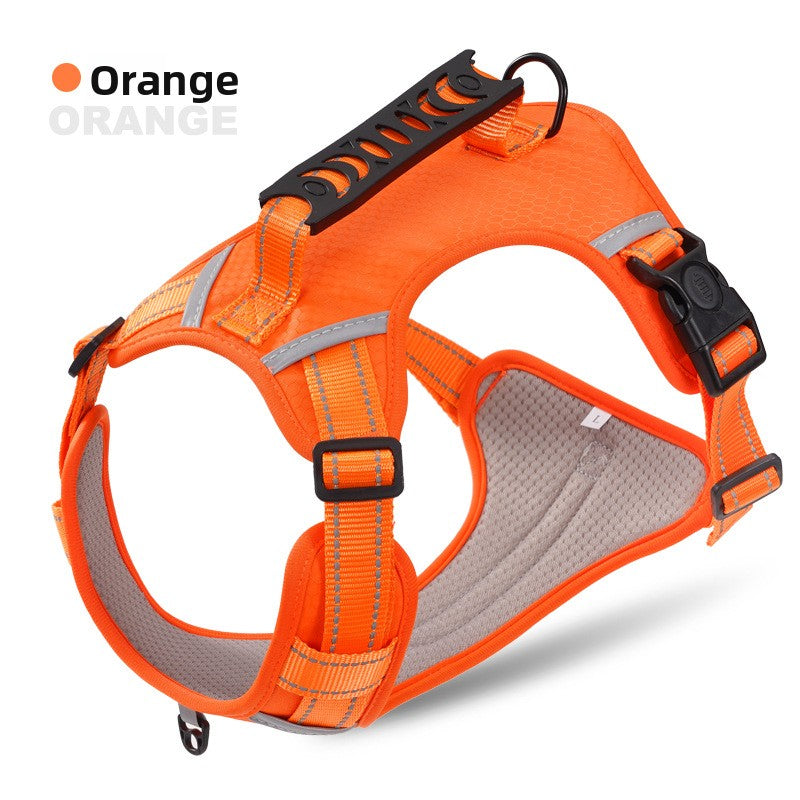 Explosion-proof Chest Strap