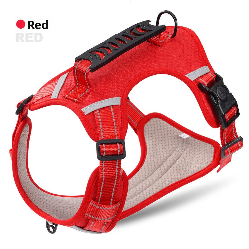 Explosion-proof Chest Strap
