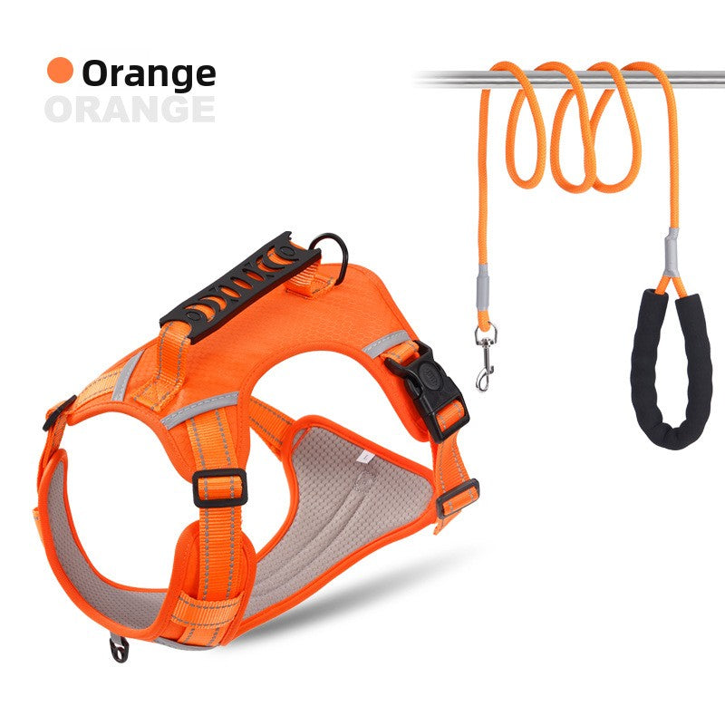 Explosion-proof Chest Strap