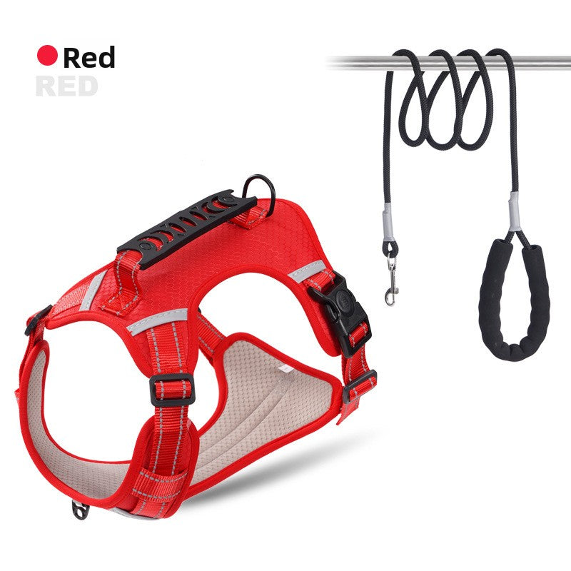 Explosion-proof Chest Strap