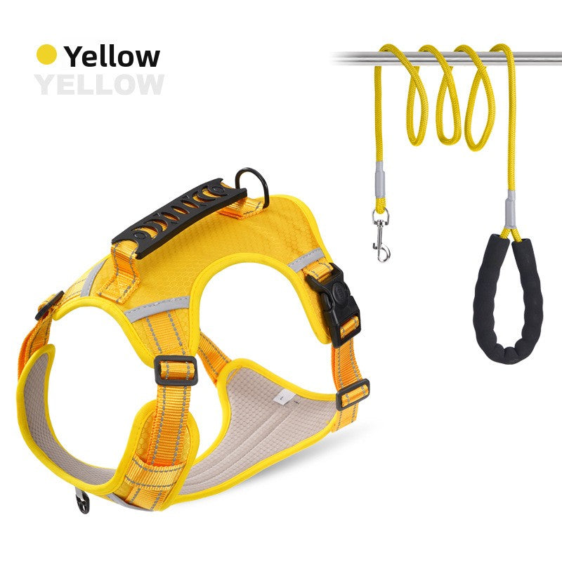 Explosion-proof Chest Strap