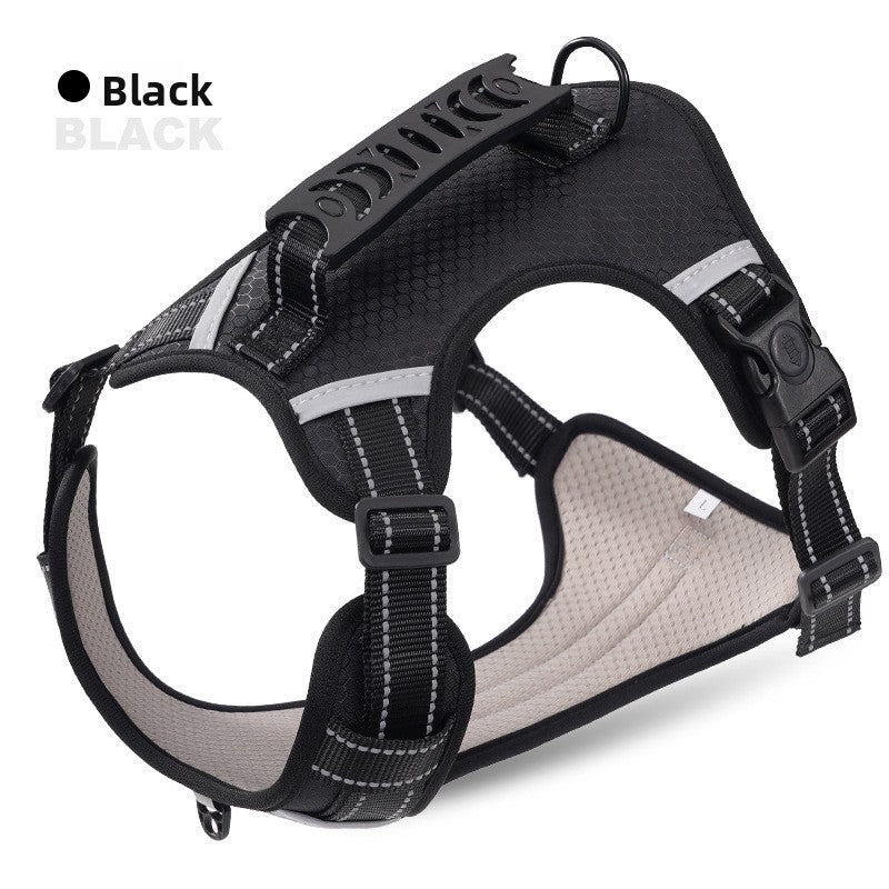 Explosion-proof Chest Strap