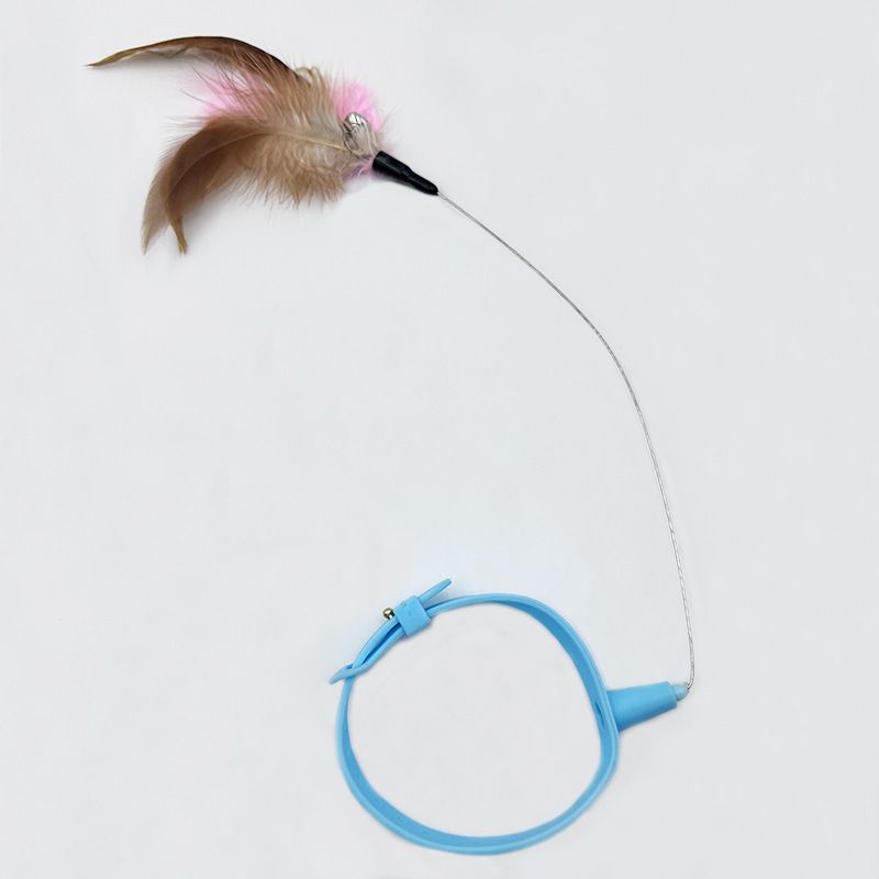 Collar Cat Teaser