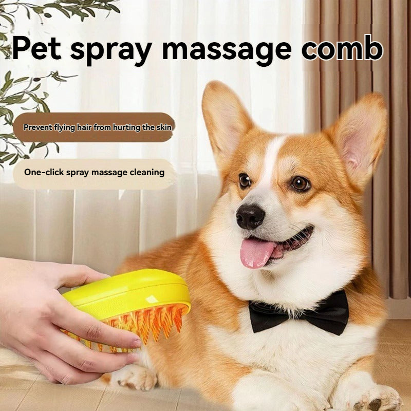 Water Spray Hair Removal Massage Comb
