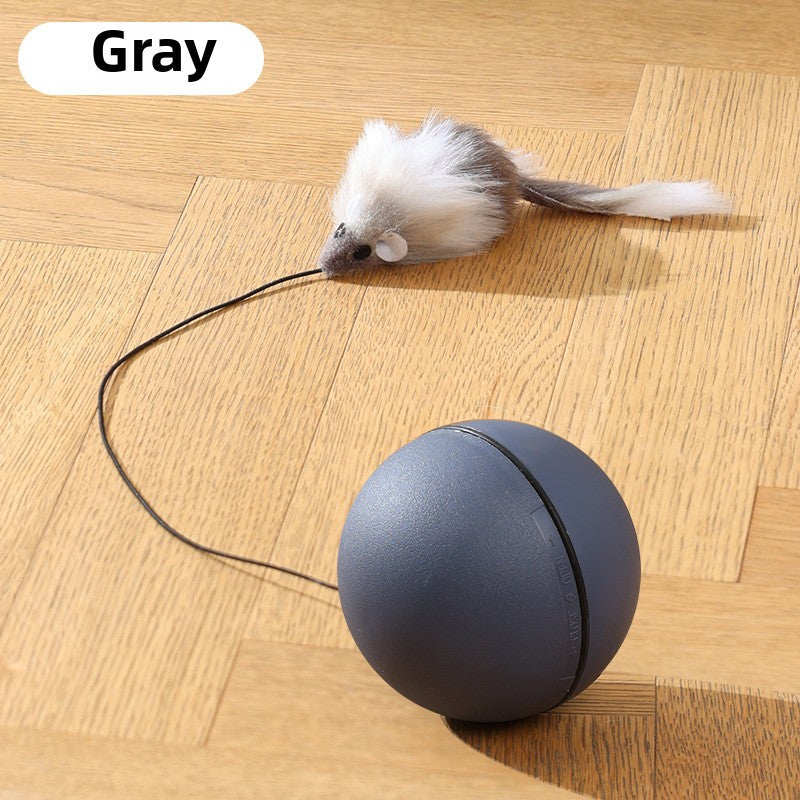 Cat Toy Ball