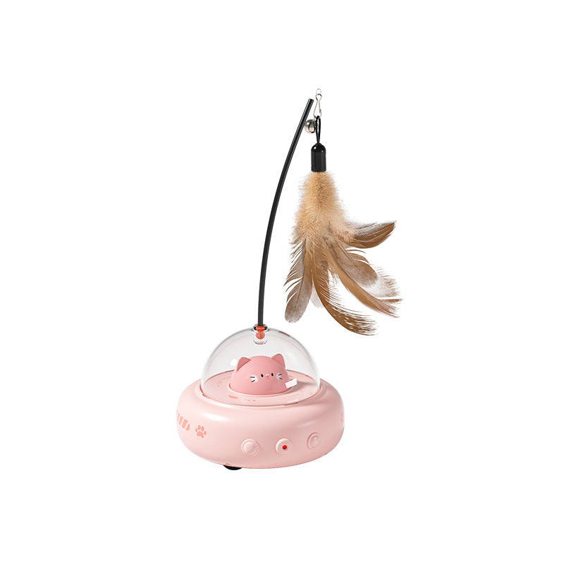 Cat Toy