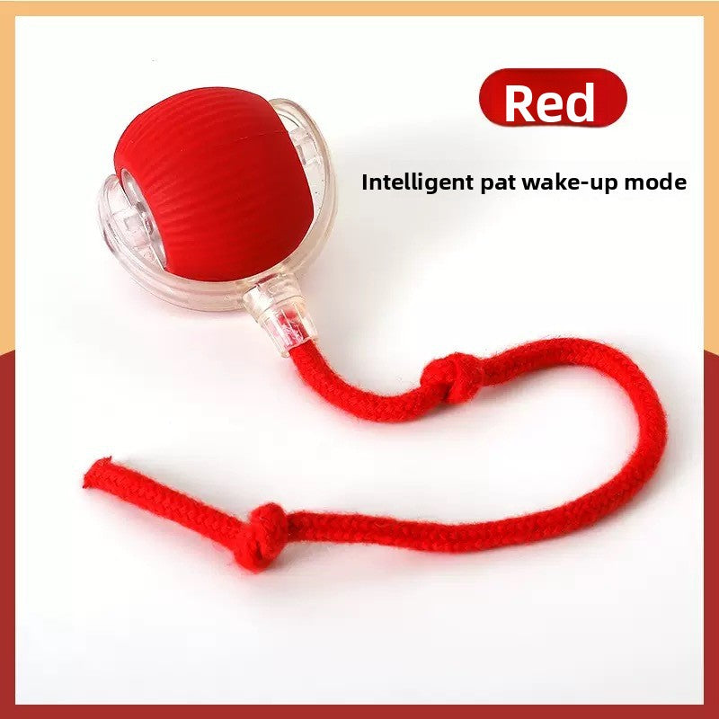 Automatic Cat Ball Toy