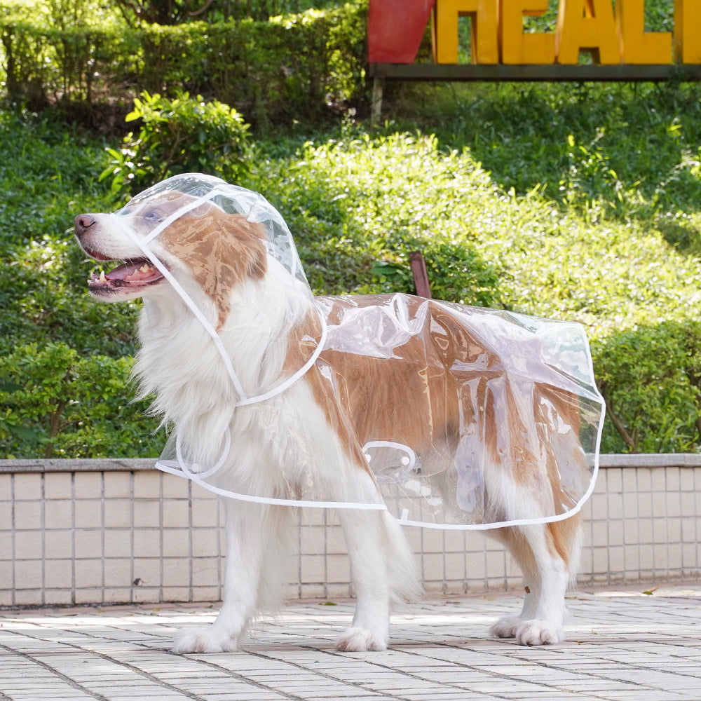 Transparent Dog Raincoat