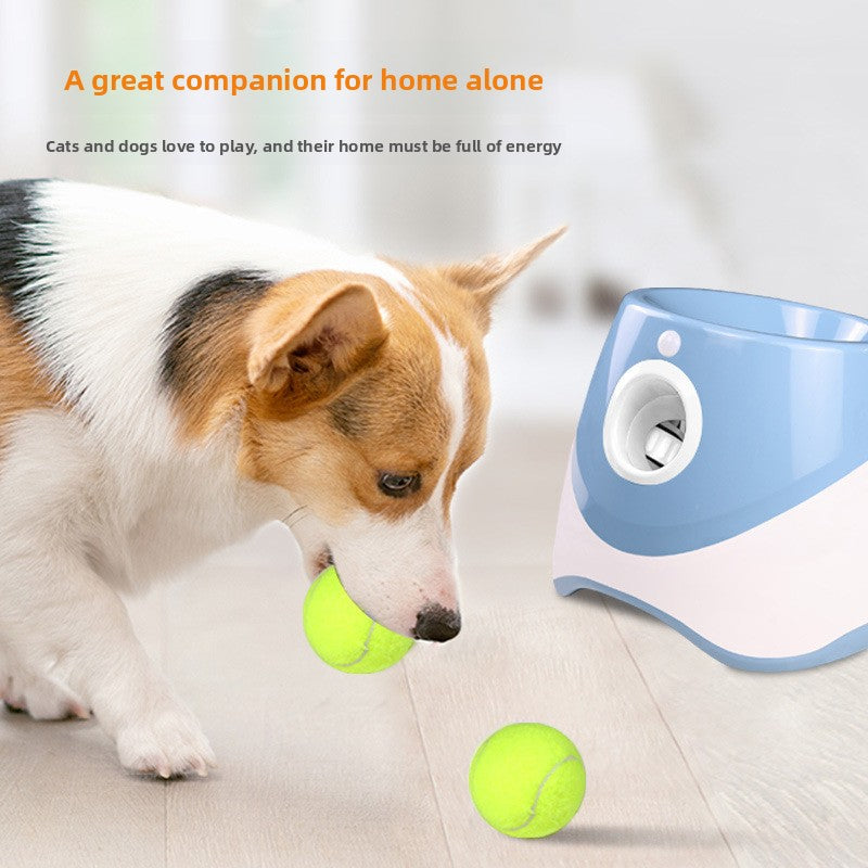 Pet Automatic Service Machine