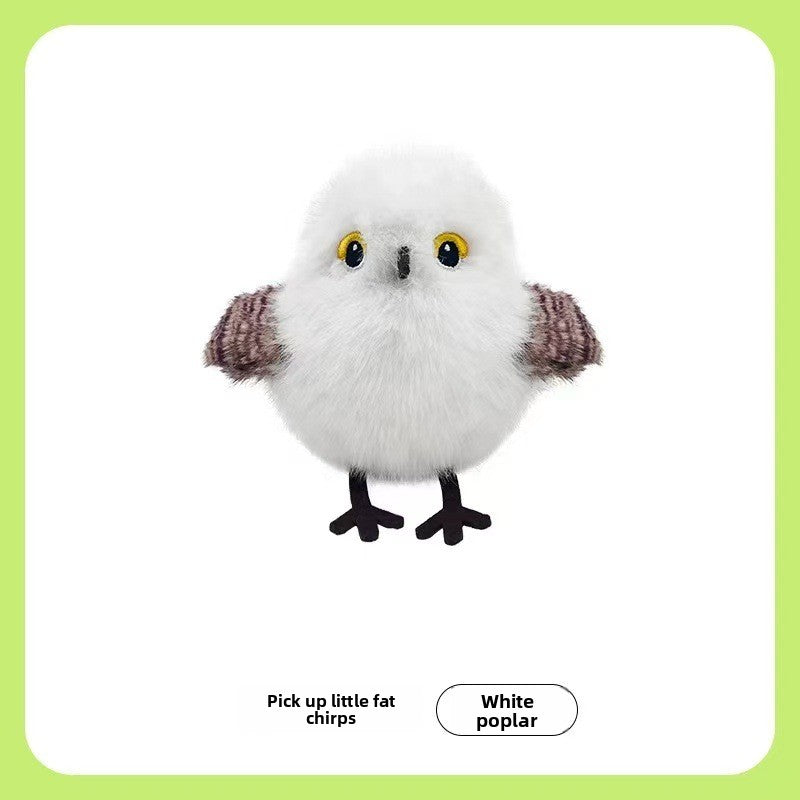 Gravitational Cat Electric Toy