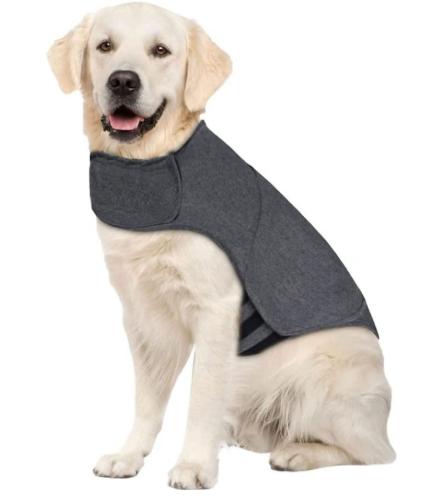 Pet Clothes