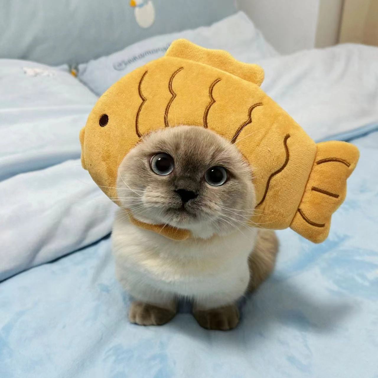Cat Headwear Dress-up Hat
