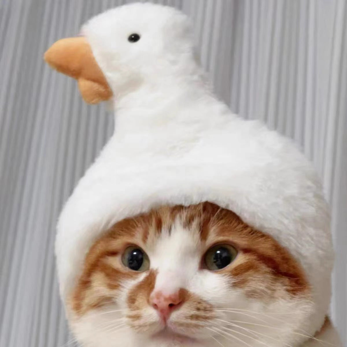Cat Headwear Dress-up Hat
