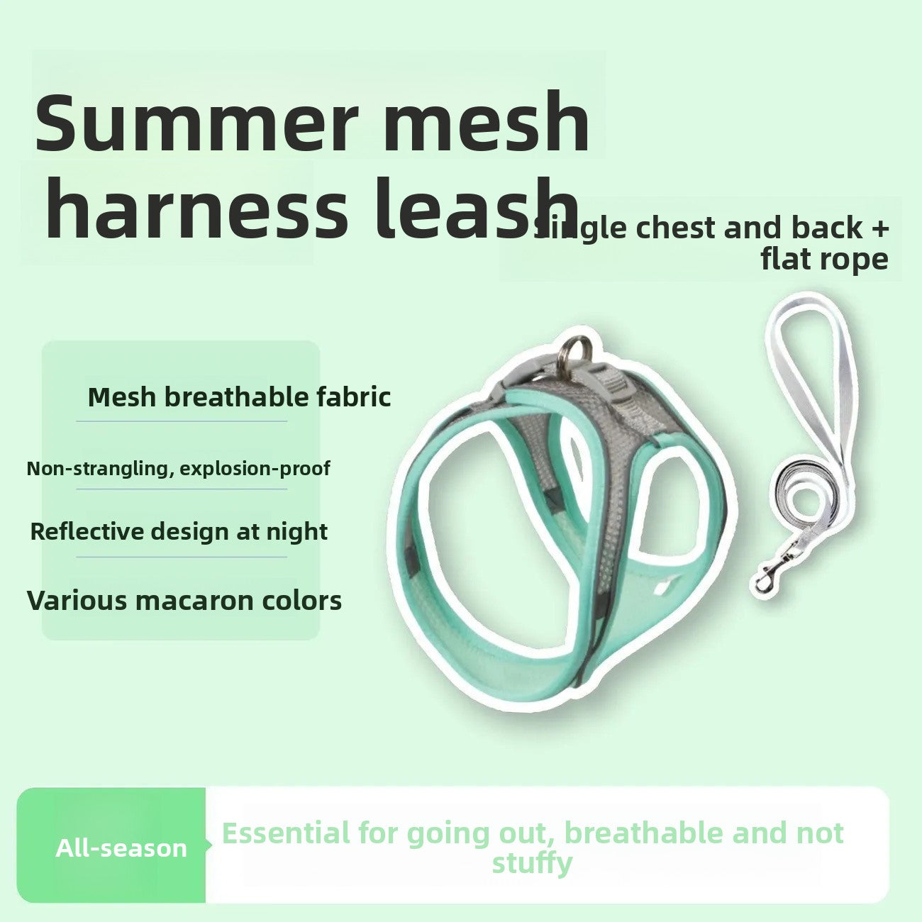 Cat Leash