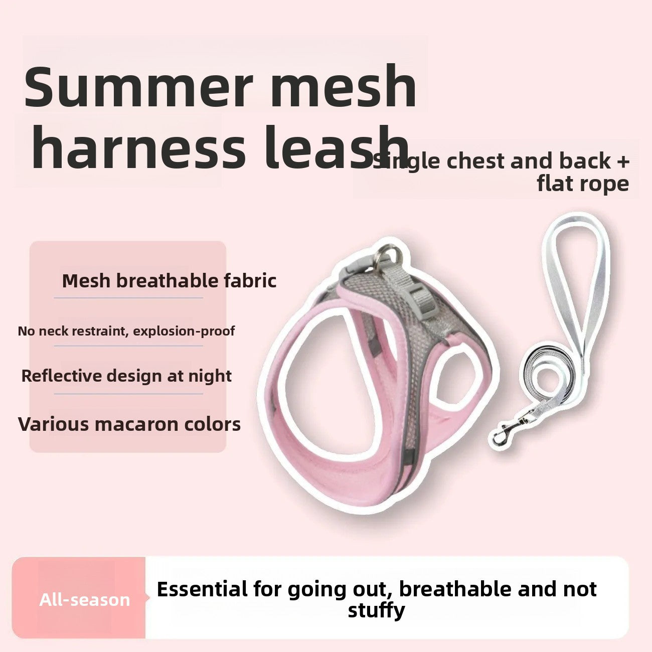 Cat Leash