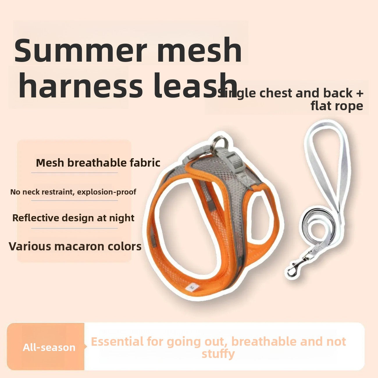 Cat Leash