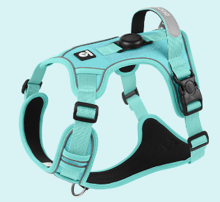 Vibrant Colorful Dog Harness | Padded & No-Pull Control