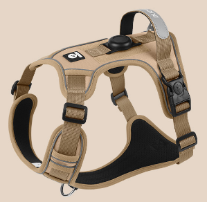 Vibrant Colorful Dog Harness | Padded & No-Pull Control
