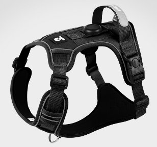 Vibrant Colorful Dog Harness | Padded & No-Pull Control