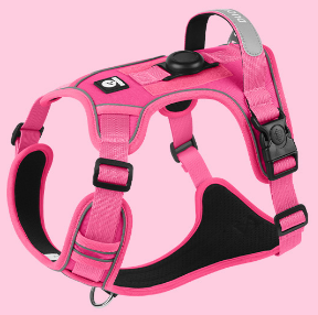 Vibrant Colorful Dog Harness | Padded & No-Pull Control