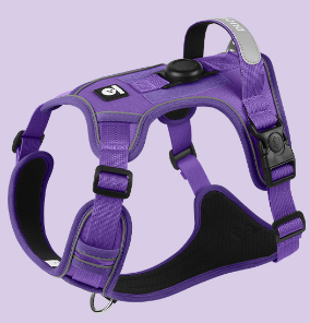 Vibrant Colorful Dog Harness | Padded & No-Pull Control