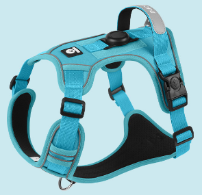 Vibrant Colorful Dog Harness | Padded & No-Pull Control