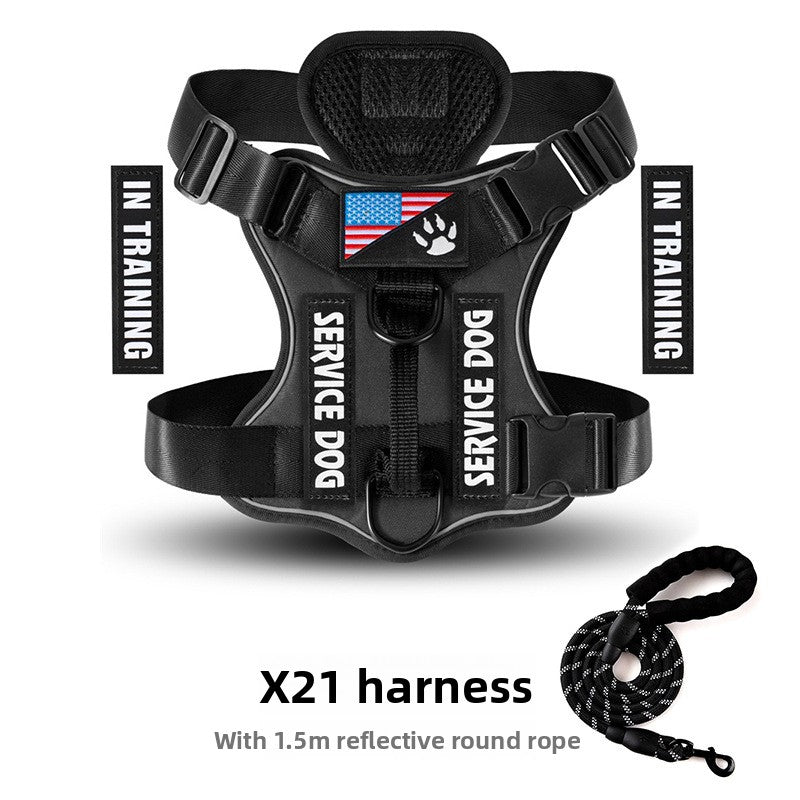 Best No-Pull Dog Harness Large | Heavy-Duty & Padded Control