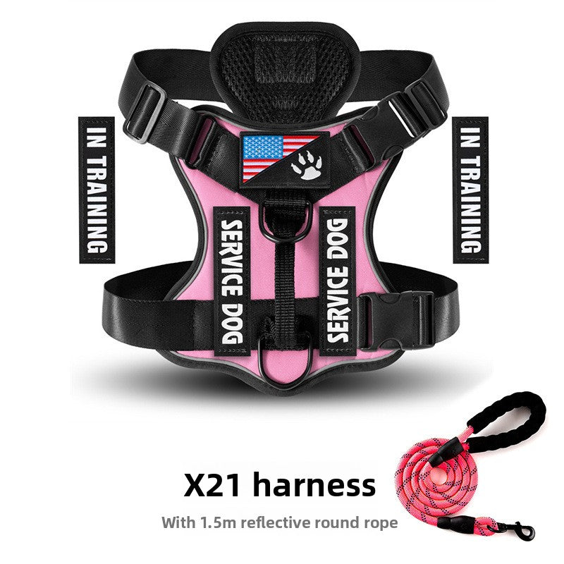 Best No-Pull Dog Harness Large | Heavy-Duty & Padded Control