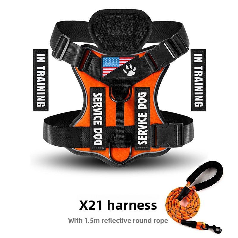 Best No-Pull Dog Harness Large | Heavy-Duty & Padded Control