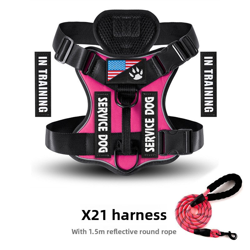 Best No-Pull Dog Harness Large | Heavy-Duty & Padded Control