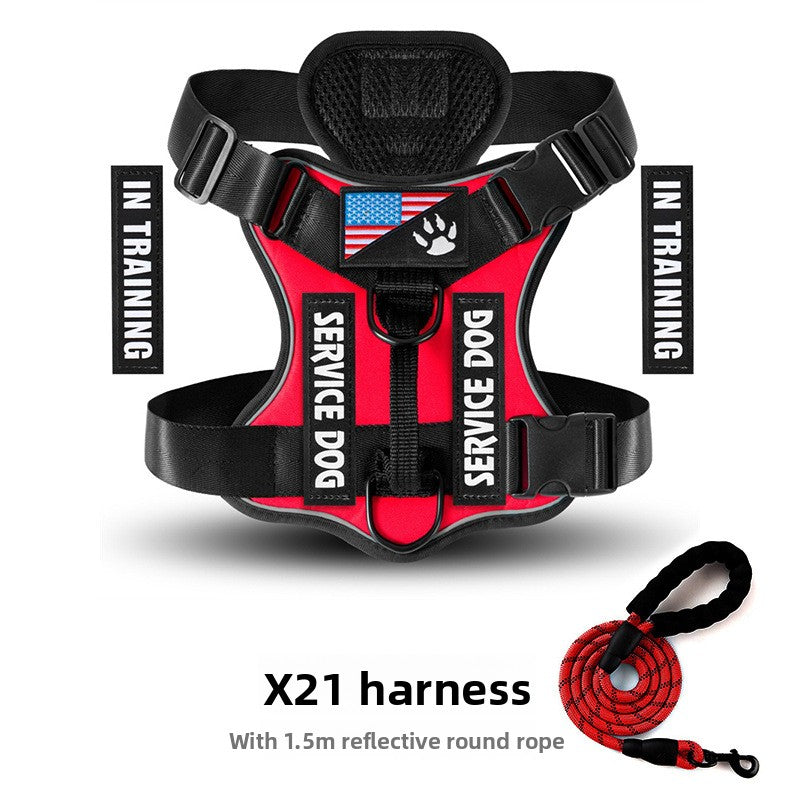 Best No-Pull Dog Harness Large | Heavy-Duty & Padded Control