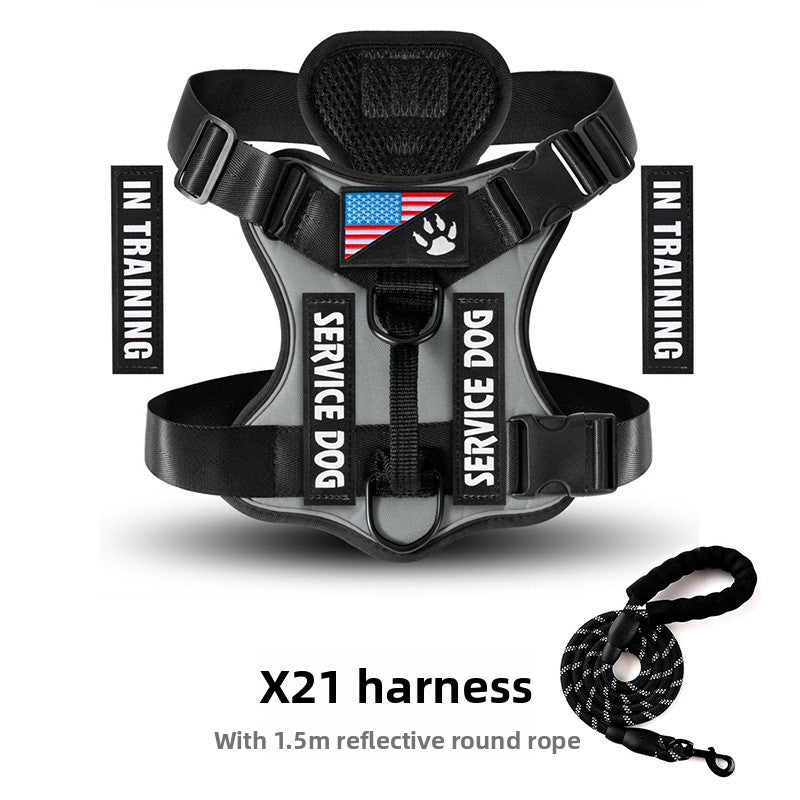 Best No-Pull Dog Harness Large | Heavy-Duty & Padded Control