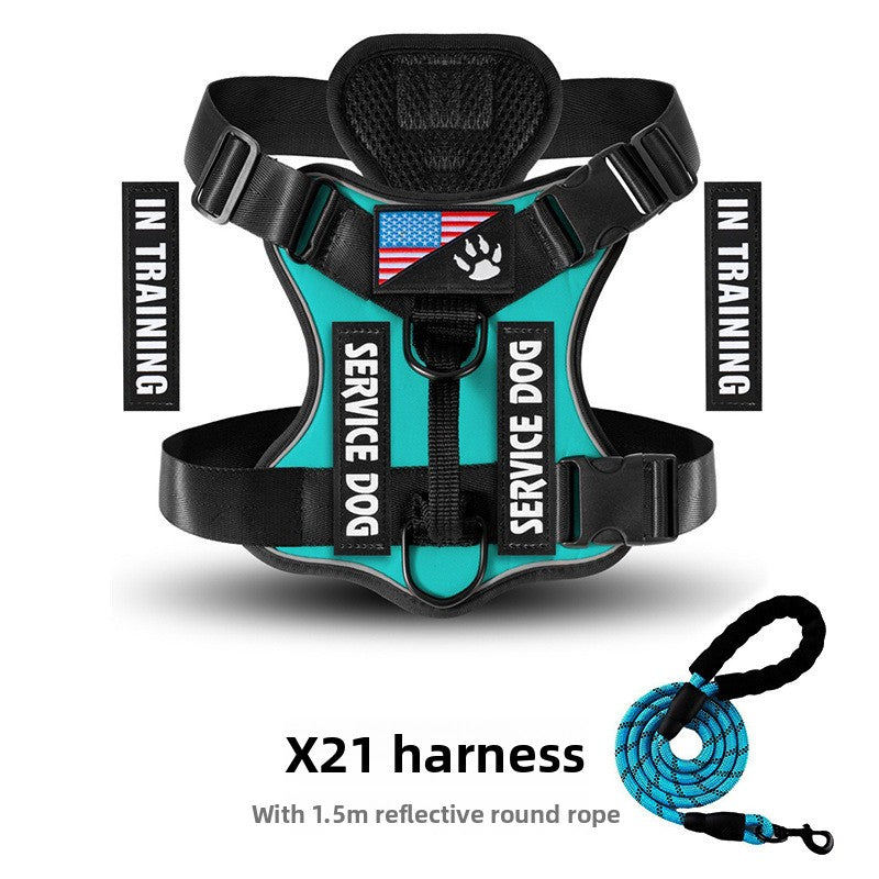 Best No-Pull Dog Harness Large | Heavy-Duty & Padded Control