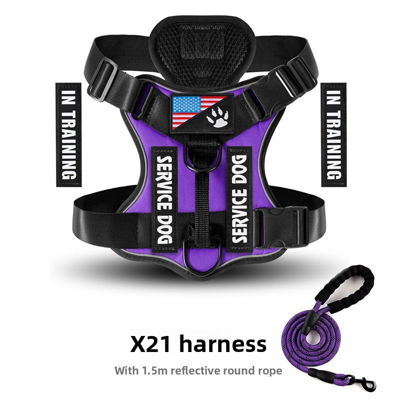Best No-Pull Dog Harness Large | Heavy-Duty & Padded Control