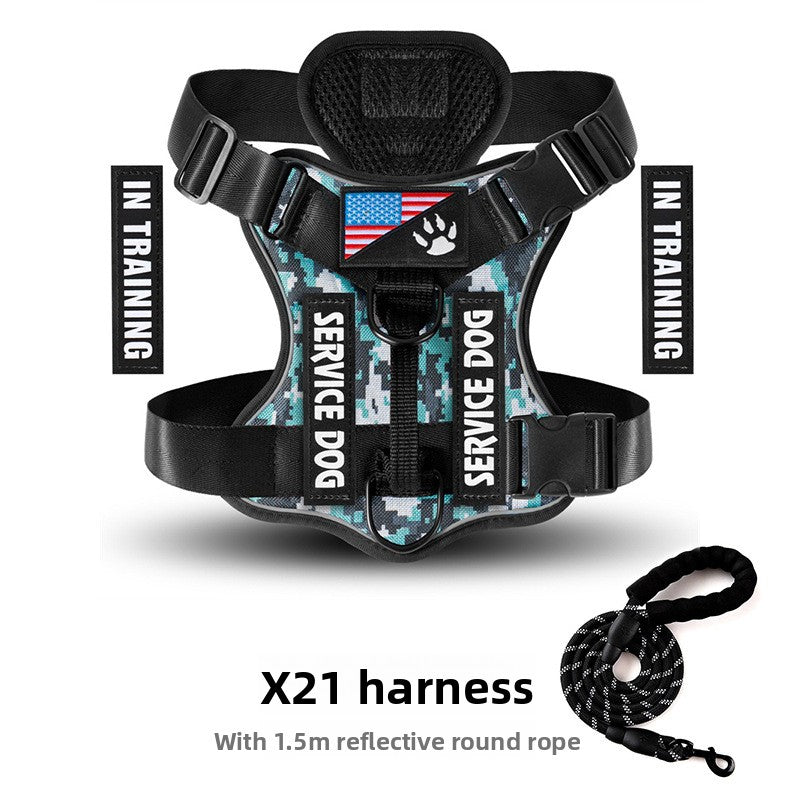 Best No-Pull Dog Harness Large | Heavy-Duty & Padded Control