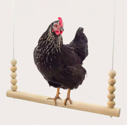 Chicken Swing, Bird Rack