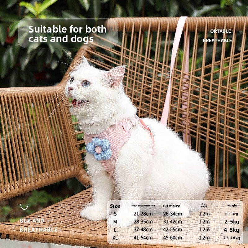 Vall Dog Leash
