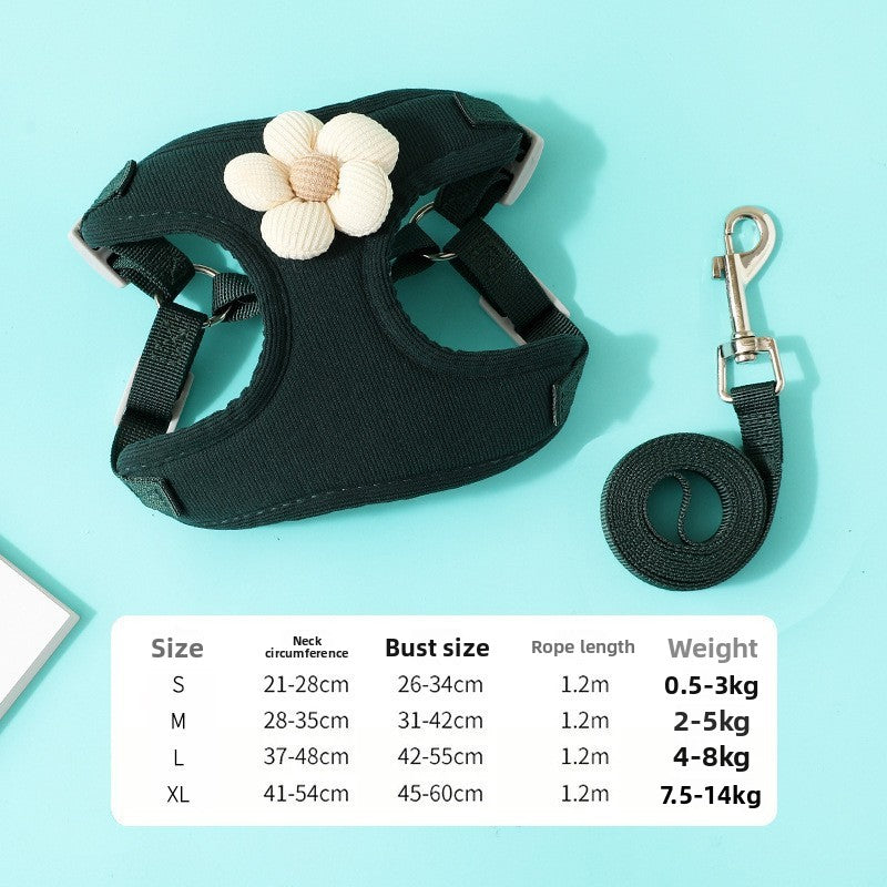 Vall Dog Leash