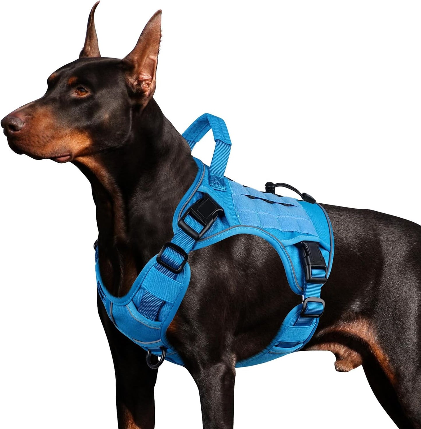 Portable Vest