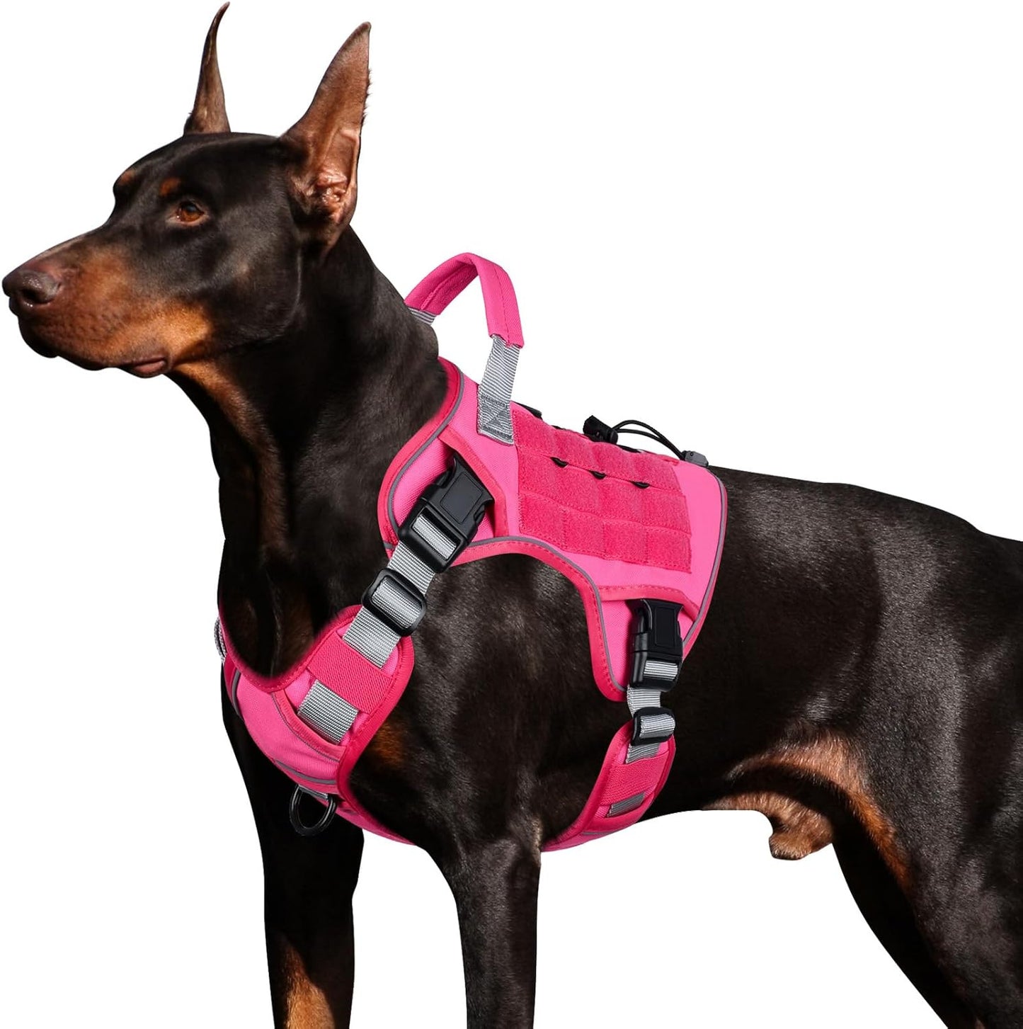 Portable Vest