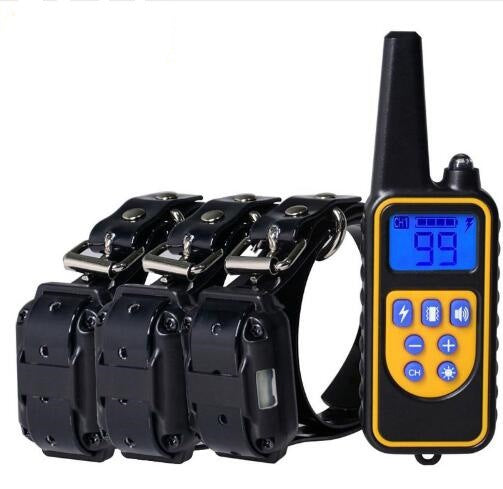 Dog Trainer Training Collar